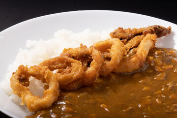 イカ　カレー