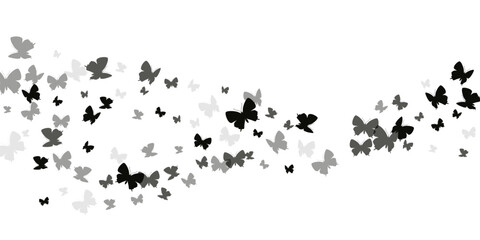 butterflies-long9_04-02.eps