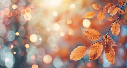 Autumn Leaves With Bokeh Background
