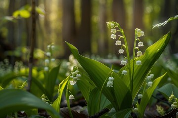 Obraz premium Lily of the valley in the forest, generative ai