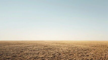 Fototapeta premium A desolate, drought-affected field under a clear sky, providing ample space for copy.