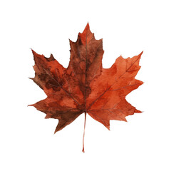 Obraz premium A beautifully detailed watercolor illustration of a vibrant red maple leaf, perfect for autumn-themed designs and decorations.