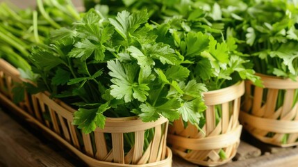 Naklejka premium Freshly harvested green parsley bunches in natural baskets, perfect for culinary use and enhancing food presentations.