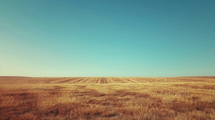 A withered crop field under a clear, hot sky, leaving ample space for copy.
