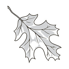 Naklejka premium Oak petal detailed label monochrome