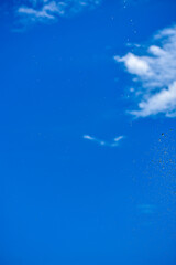 夏の青空に浮かぶ雲と水飛沫