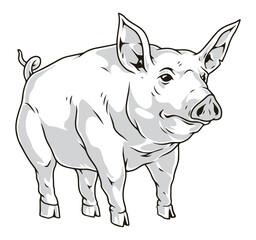 Funny pig monochrome detailed sticker