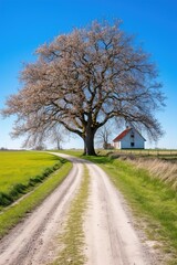 Obraz premium country road in spring