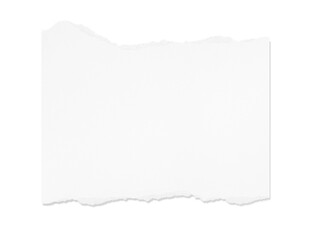 White torn paper piece isolated on transparent background