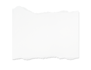 White torn paper piece isolated on transparent background