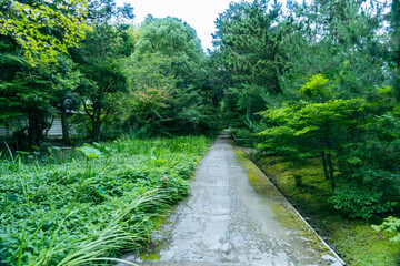 Obraz premium 唐招提寺の美しい庭園