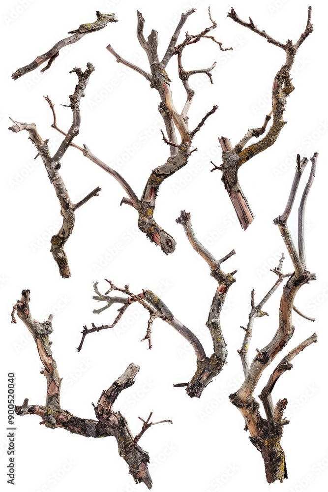 Aufkleber a group of birds resting on a tree branch, possibly preparing for flight or taking a break from fora