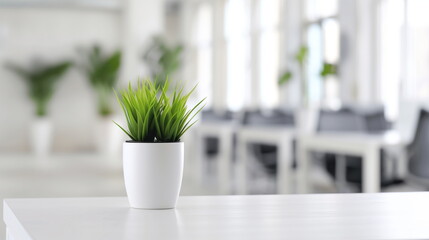 Minimalist Modern Office Interior with Green Plant in White Pot on Desk, Natural Light Design Elements, Contemporary Workspace Ideas for Bright and Fresh Atmosphere
