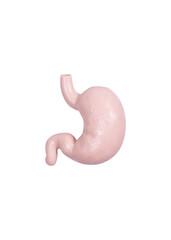 Stomach on white background minimalism