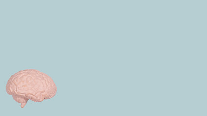 Brain model on green banner