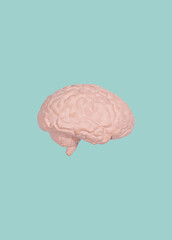 Brain internal organ minimalism