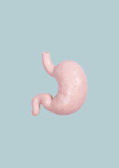 Stomach internal organ minimalism