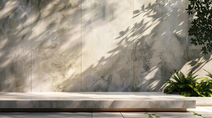 Podium and plants with cream colored walls ​