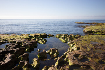 Vega Baja del Segura - La costa de Torrevieja, rocas y calas con aguas cristalinas. 