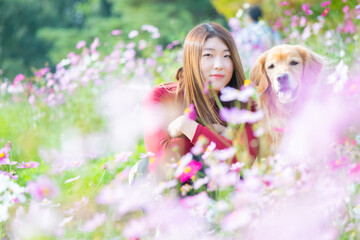 Fototapeta premium コスモス畑でリラックスしているゴールデンレトリバーと飼い主の女性