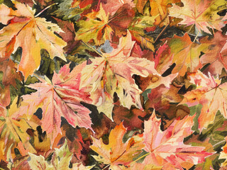 Fototapeta premium dry maple leaf in fall autumn leaves weather warm picnic vacation in park natural tree environment sadness aesthetic holidays oak golden outdoor red watercolor background