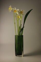 glass flowers in a glass vase. taken in close-up on a white background with space for text