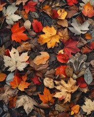 Obraz premium A colorful assortment of autumn leaves scattered on the ground, showcasing vibrant reds, oranges, yellows, and browns.