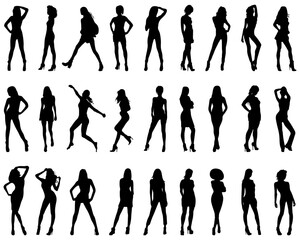 Silhouettes of beautiful and sexy girls on a white background	