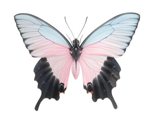 Close-up of a Beautiful Butterfly in Flight Showing Detailed Insect Anatomy, Delicate Antennae, Graceful Wings, and the Fragile Elegance of Nature's Design Captured in Stunning Wildlife Photography