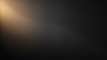 A matte black wall serves as a sophisticated background, the dark of the wall evokes a sense of mystery and elegance.