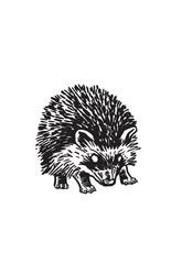 Graphical hedgehog isolated on white background,vector illustration, forest animal