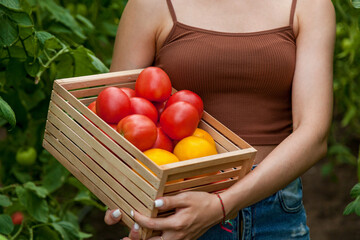 Girl holding wooden box with tomatoes