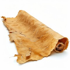Vintage scroll opened papyrus, isolated on a white background, bright and vivid tonality, in the style of product photography