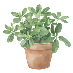 Obraz premium Watercolor Illustration of a Potted Plant, Hand-Painted Botanical Art for Home Decor and Botanical Enthusiasts