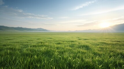 Obraz premium A serene landscape featuring lush green grass under a vibrant sky during sunrise, evoking peace and tranquility in nature.