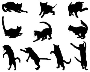 Black silhouettes of cats on a white background