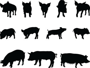 Black silhouettes pigs