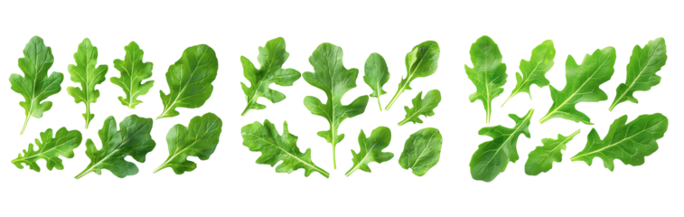 fresh green leak leaf isolated on white
