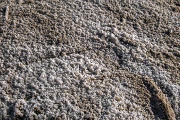 Salt crystals on a sand of shore of Salton sea