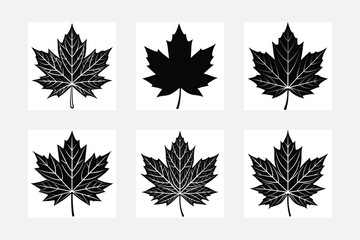Set of maple leaf silhouettes