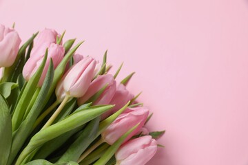 Beautiful fresh tulips on color background