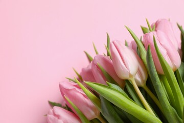 Fototapeta premium Beautiful fresh tulips on color background