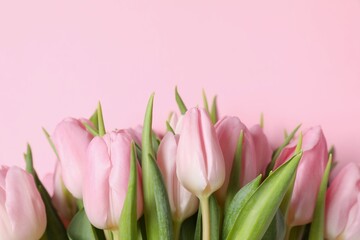 Beautiful fresh tulips on color background