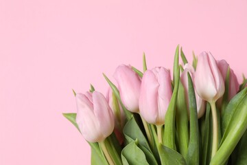Beautiful fresh tulips on color background