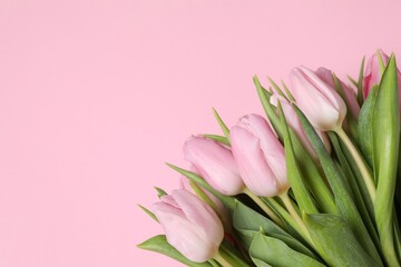 Beautiful fresh tulips on color background