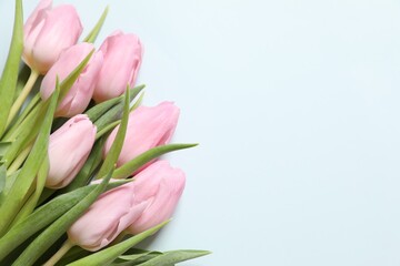 Beautiful fresh tulips on color background