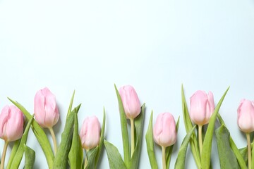 Beautiful fresh tulips on color background