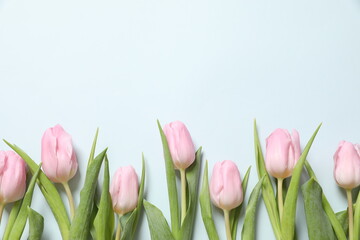Fototapeta premium Beautiful fresh tulips on color background