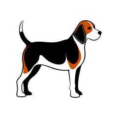 a drawing of a beagle dog with white background