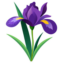 Naklejka premium A purple iris with elegant, curved petals and a tall green stem, set against a white background